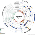 Identifying Potential Ageing-Modulating Drugs In Silico (Review Article)