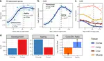 Inter-tissue convergence of gene expression during ageing suggests age-related loss of tissue and cellular identity (Research Article)