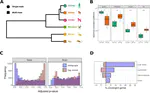 Convergent evolution of primate testis transcriptomes reflects mating strategy (Research Article)